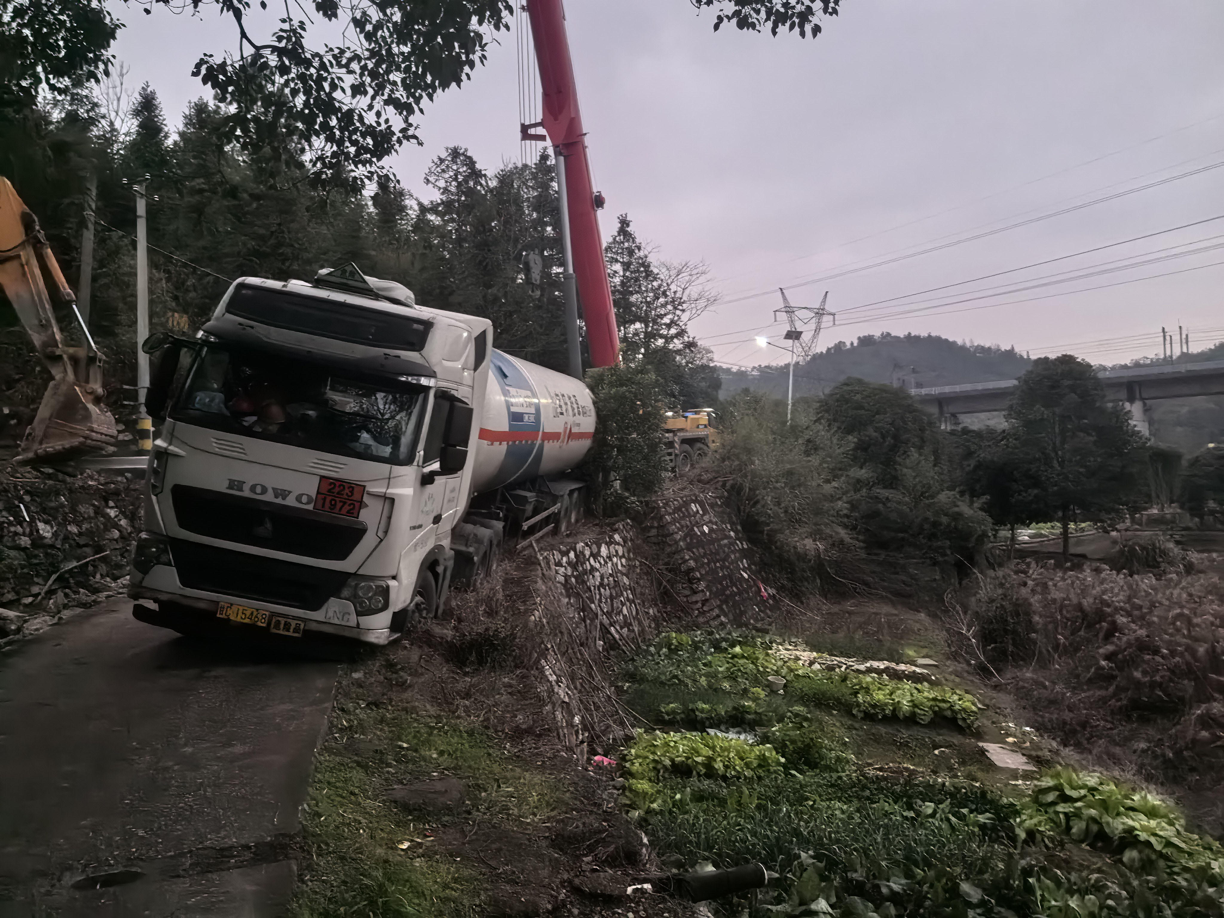 微信图片_20260202092546_2301_236.jpg 微信图片_20260202092546_2301_236.jpg