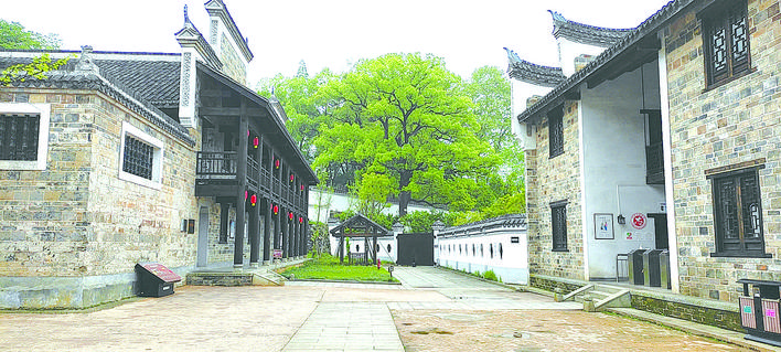 a74e83cc-2f4e-4673-bc81-28c872ea62a3.jpg a74e83cc-2f4e-4673-bc81-28c872ea62a3.jpg