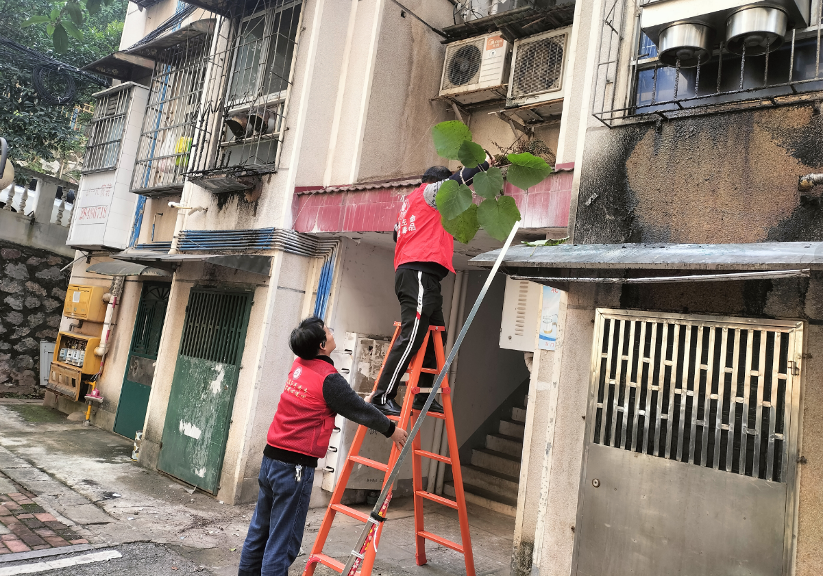 ScreenShot_2025-11-21_164546_372.png ScreenShot_2025-11-21_164546_372.png