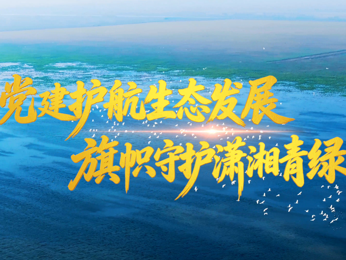 党建护航生态发展 旗帜守护潇湘青绿