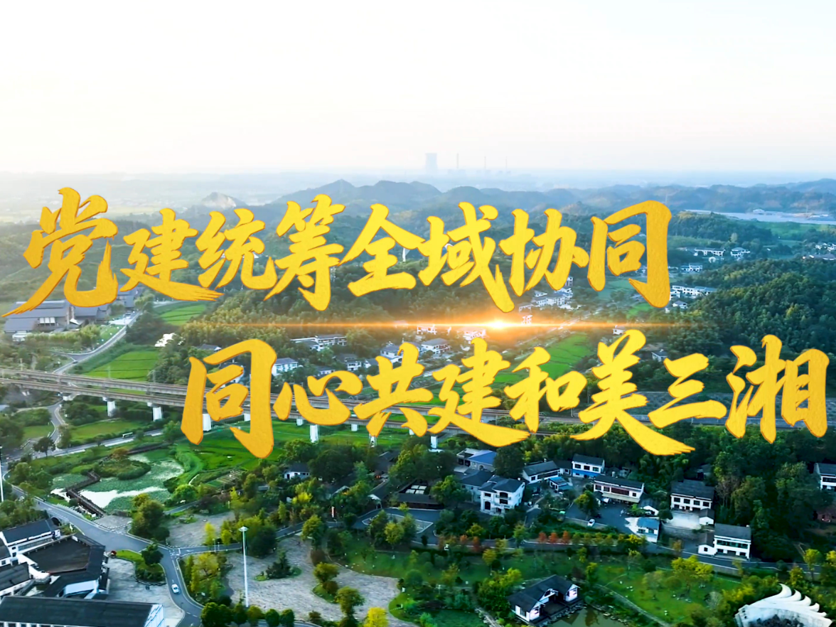 党建统筹全域协同 同心共建和美三湘