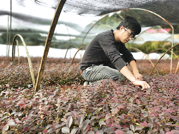 04版普迹-4.jpg 04版普迹-4.jpg