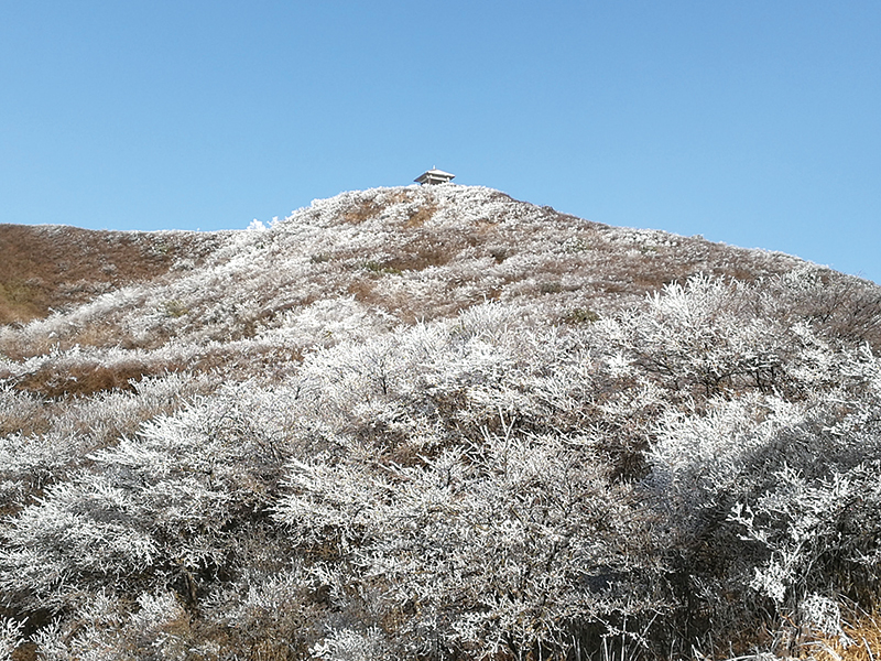 08版资讯-2.jpg
