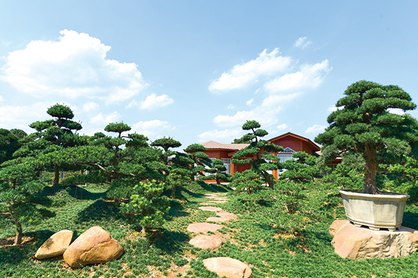 07版深度-2.jpg