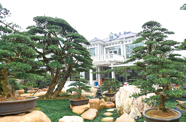 06版街坊-3.jpg