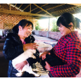 村民致富引路人：成立合作社，"三黑"产业创造百万年产值