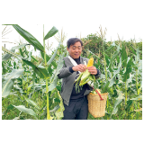 围山走读丨咬一口水果玉米，日子“甜”了起来