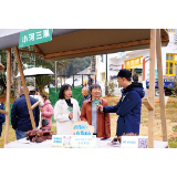 直播进村下田，好物出山上桌