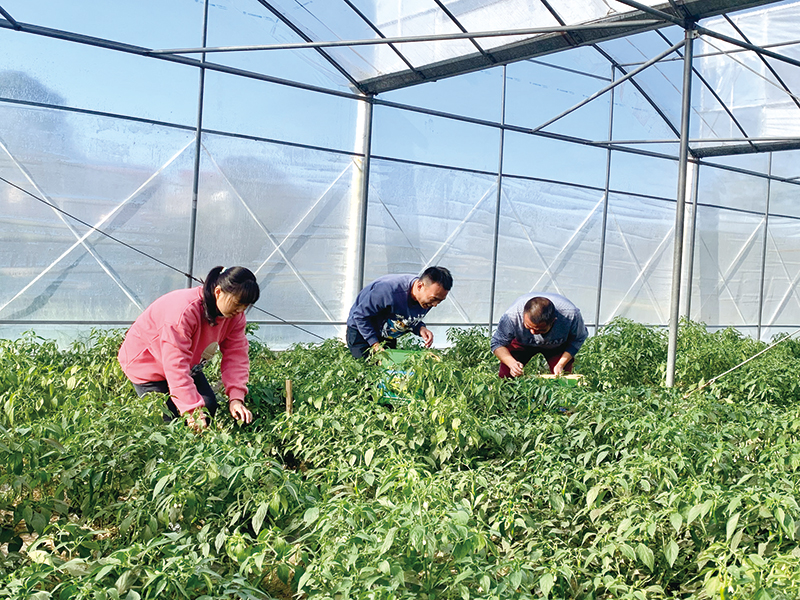 04版乡村振兴看浏阳-4.jpg