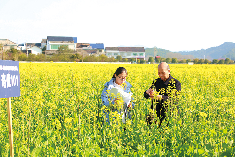 06版镇村-1.jpg