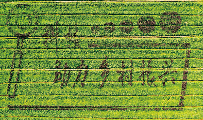 09版镇村-2.jpg 09版镇村-2.jpg