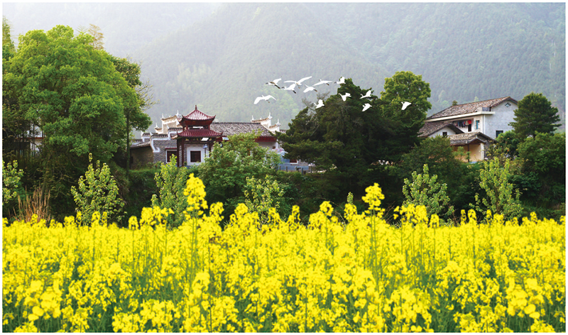 05版镇村-2.jpg