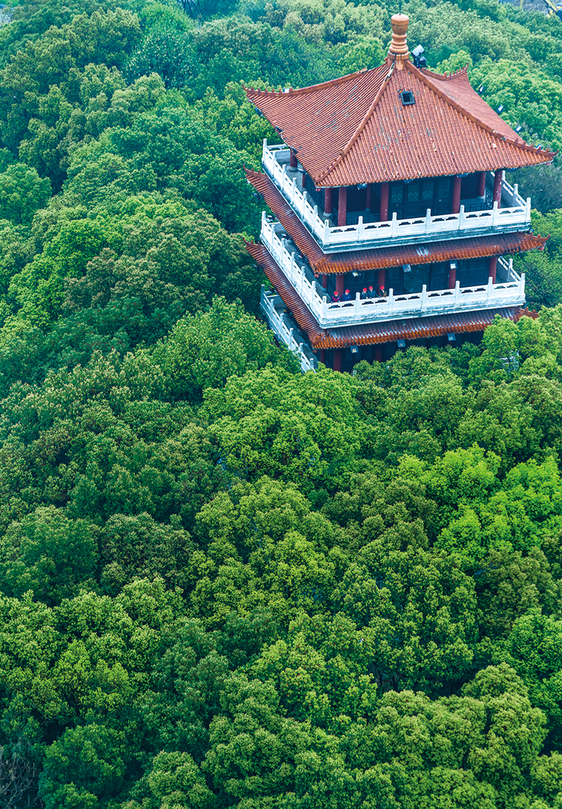 10版资讯-1.jpg