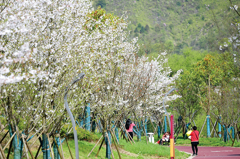 06、07版文旅-11.jpg 06、07版文旅-11.jpg