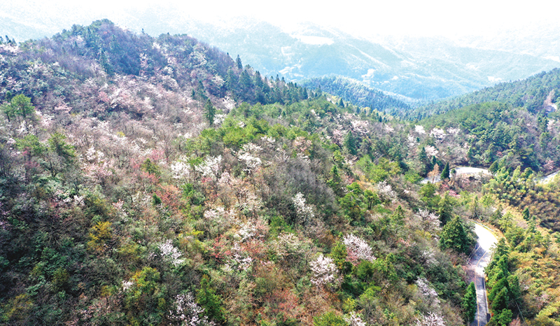 06、07版文旅-3.jpg 06、07版文旅-3.jpg