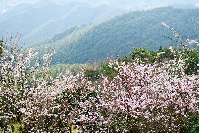 06、07版文旅-2.jpg 06、07版文旅-2.jpg