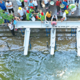 浏阳农业农村局：60万尾鱼苗放流浏阳河，保护浏阳特有鱼类