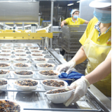 投产不到半年，月产值达600万元