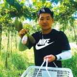 1.5万斤八月瓜压在心头，农户愁销路