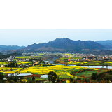 争先2022丨浏阳高坪镇：山水高坪，三个示范区聚合力