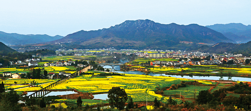 T34版高坪-3.jpg