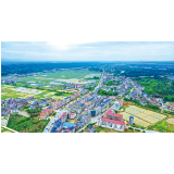争先2022丨浏阳龙伏镇：三农为本，走出农业强镇之路