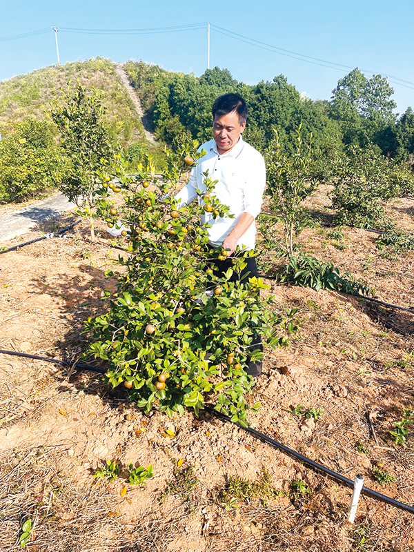 04版时政镇村-4.jpg 04版时政镇村-4.jpg