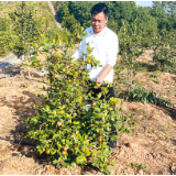 第三批国家林草乡土专家名单公布 浏阳两人上榜