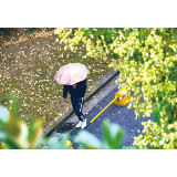 向天“借”甘霖，浏阳下雨啦