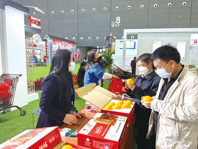 06版时政镇村-4.jpg