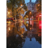 最低9.5℃，“阴雨模式”开启