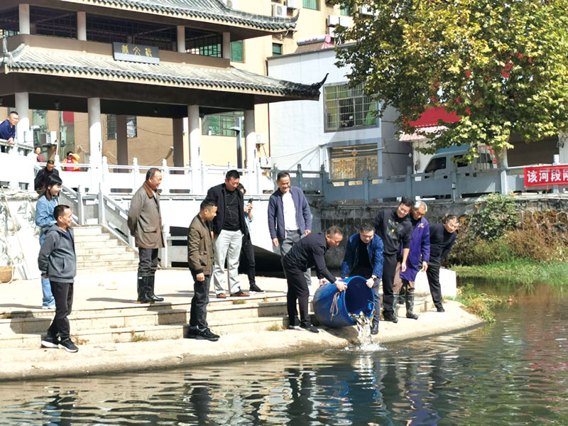 05版时政镇村-7.jpg