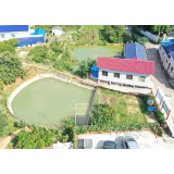 “利剑”行动进行时丨洞阳镇长东村：因地制宜治污水   乡村“蝶变”展新颜