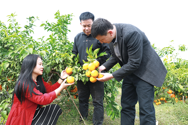03版浏阳党建-4.jpg