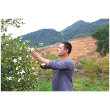 茶子冲里种油茶，振兴乡村加把“油”
