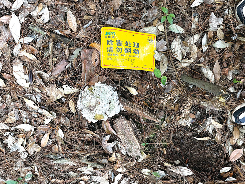 04版记者走-4.jpg