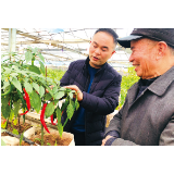 "伍国强劳模创新工作室"助力"辣椒大王"的火辣事业