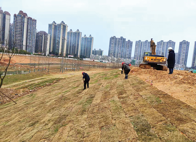 02版时政要闻-3.jpg 02版时政要闻-3.jpg