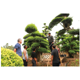 解码浏阳发展“集群现象”丨微网格撬动基层大治理——扎实推进"党员微网格+五个到户"，蹚出党建引领基层治理新路