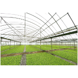 人勤春早忙育苗