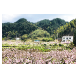 驶向春天