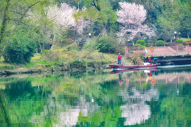 08版镇村-3.jpg