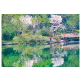 碧水清浏美如画