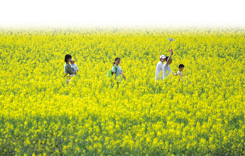 04版乡村振兴-4.jpg