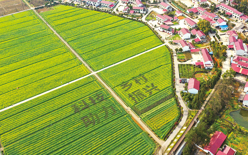 04版乡村振兴-3.jpg