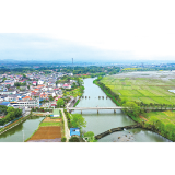 乡村振兴看浏阳丨沙市镇秧田村：研学标杆，书香秧田