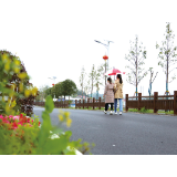 乡村振兴看浏阳丨荷花街道南环村：小山村的“不可思议”
