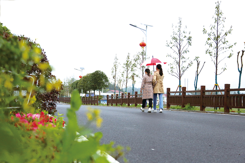 04版荷花-4.jpg