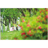 气温回升，开启“春暖花开”模式