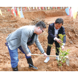 大瑶镇汇丰村：打造千亩油茶基地，做强村级集体经济
